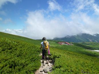 白山登山　お花の松原_d0182188_1442589.jpg