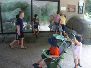 動物園と誕生会 カントリーなアメリカから 動物園と誕生会 カントリーなアメリカから