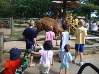 動物園と誕生会 カントリーなアメリカから 動物園と誕生会 カントリーなアメリカから