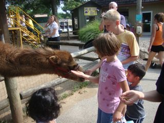 動物園と誕生会 カントリーなアメリカから