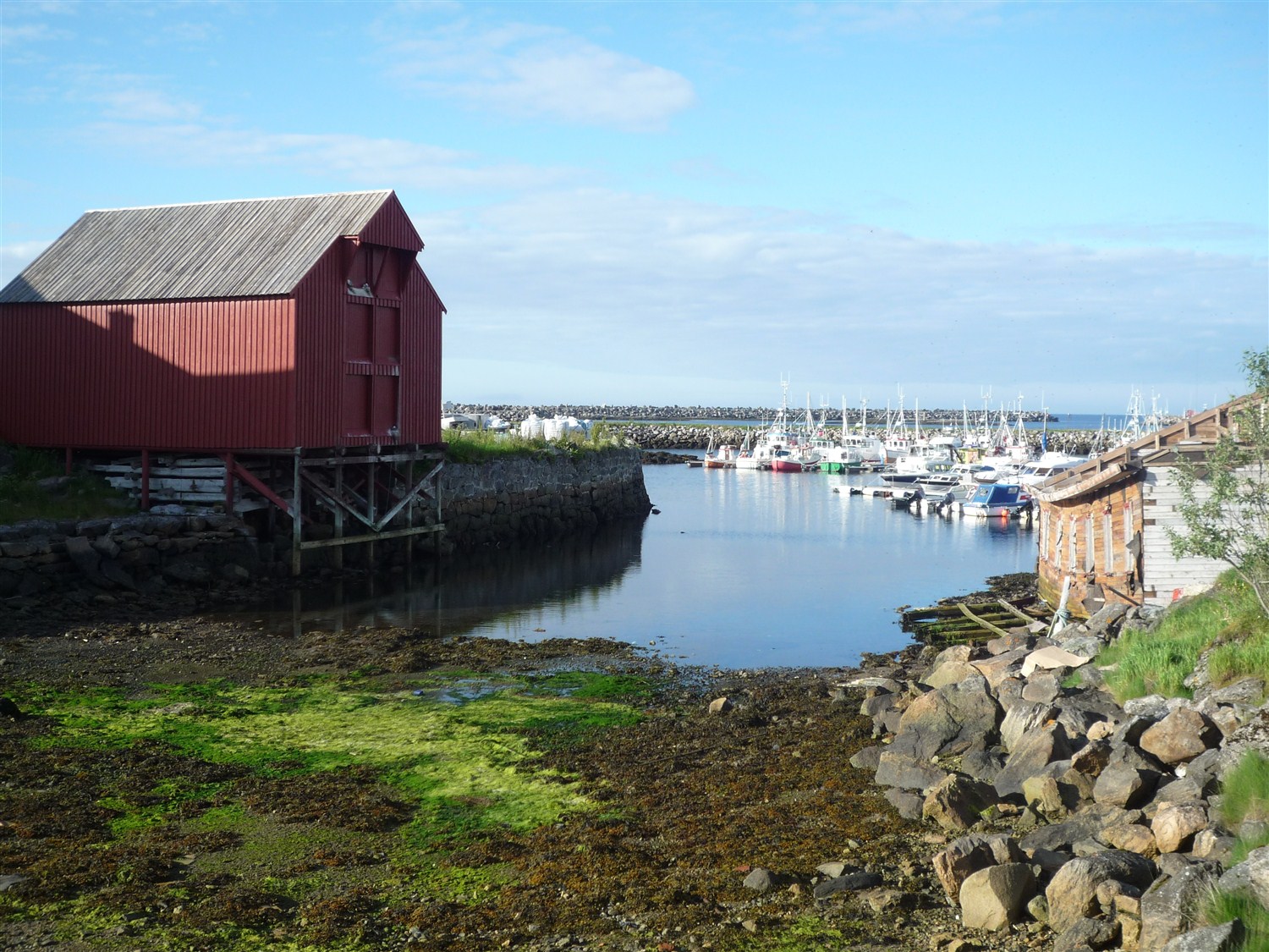 d0182292_1043912.jpg