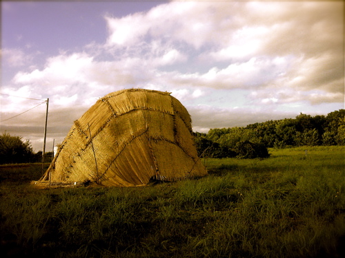e0138101_10241.jpg
