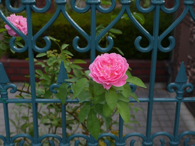 e0163202_19314272.jpg