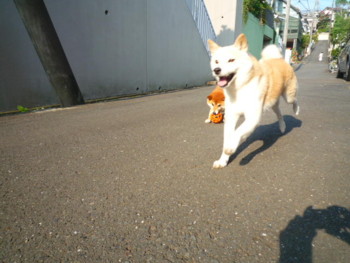 e0131506_017669.jpg