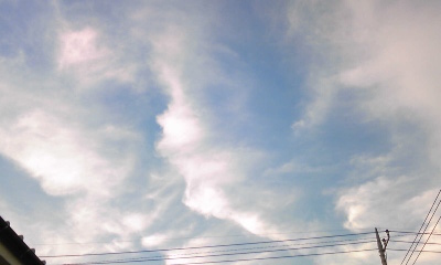 e0098908_22523997.jpg