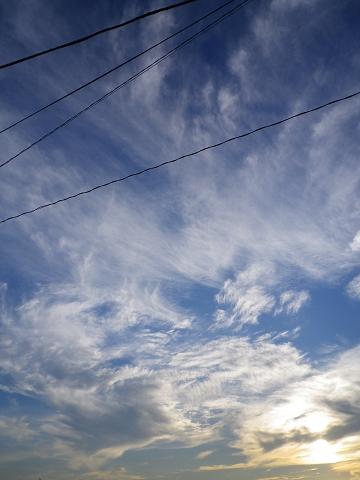 b0189209_22485557.jpg