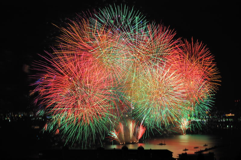 2010びわこ花火大会 ダイジェスト_f0032011_19463786.jpg