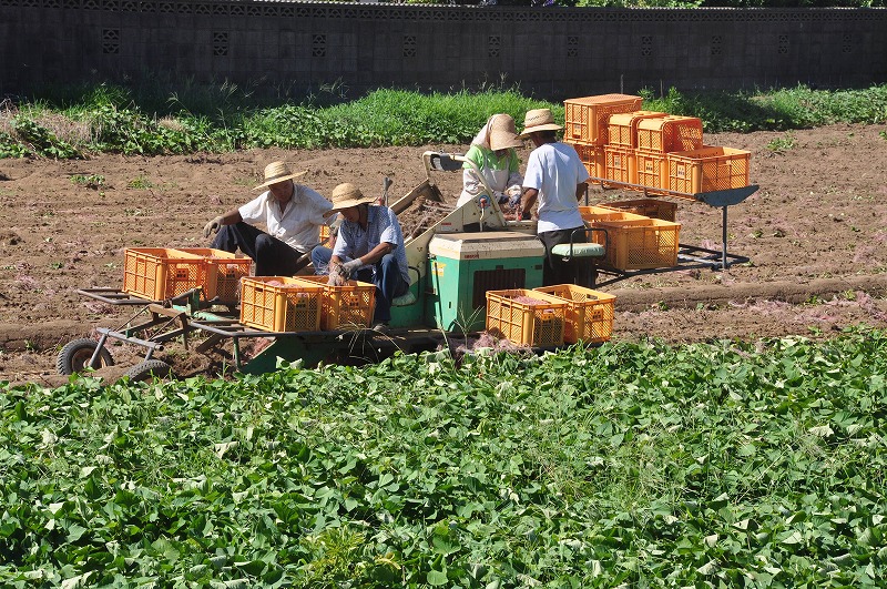 衣食住足りて礼節を知る_f0213613_17351086.jpg