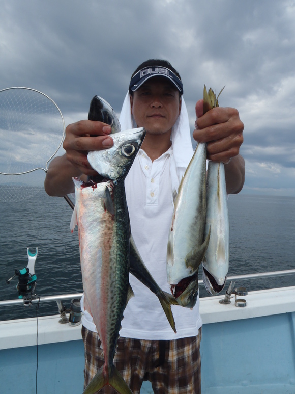 8月7日 大アジ入れ食いです 愛媛 松山 伊予灘 高速遊漁船 Pilar 海人 本日の釣果
