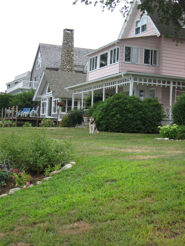 c0120817_11243034.jpg