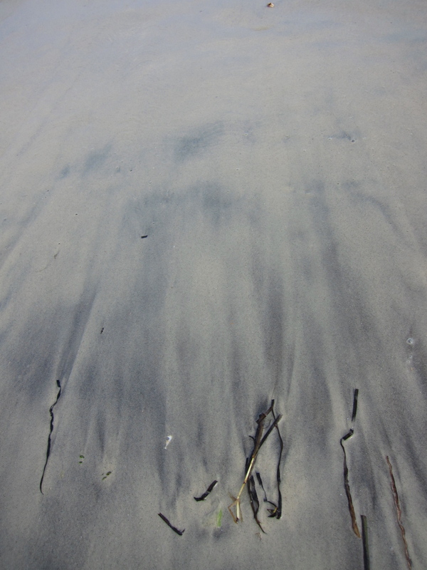 c0120817_12135014.jpg