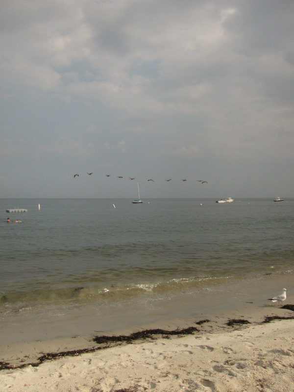 c0120817_12222490.jpg