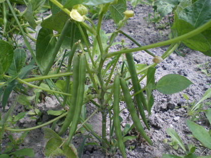 c0124619_3213317.jpg