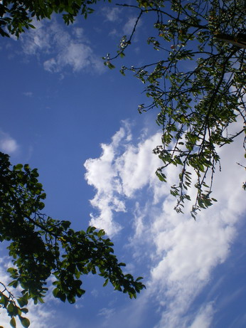 c0124619_6103147.jpg