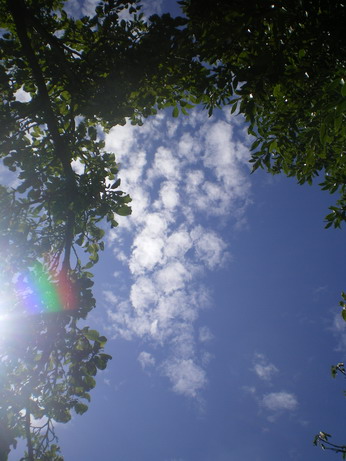 c0124619_6112830.jpg
