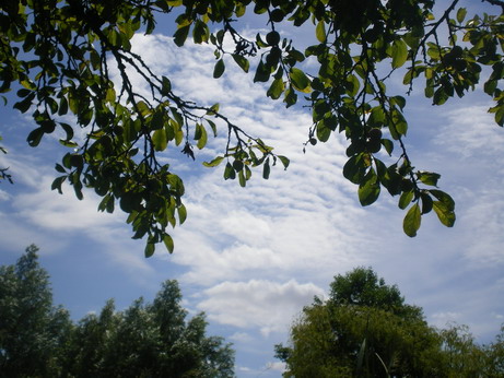 c0124619_6121668.jpg