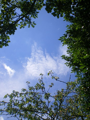 c0124619_6125788.jpg
