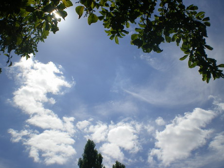 c0124619_6133154.jpg