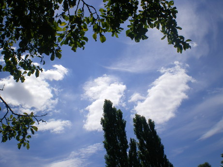 c0124619_614528.jpg