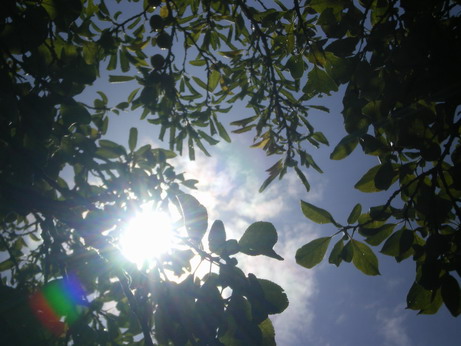 c0124619_6152232.jpg
