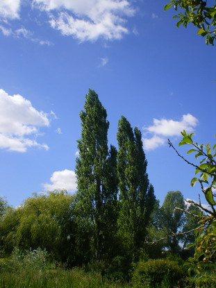 c0124619_683698.jpg
