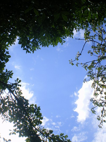 c0124619_68742.jpg