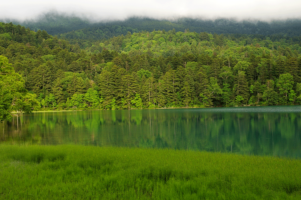 駆け足でめぐる北海道道東旅行_c0223825_2121061.gif