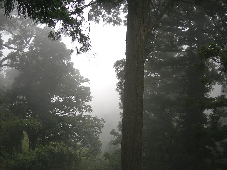 f0213825_10291216.jpg