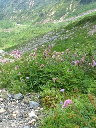 d0130927_16234324.jpg