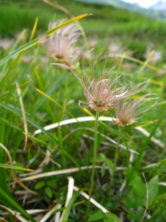 d0130927_1635981.jpg