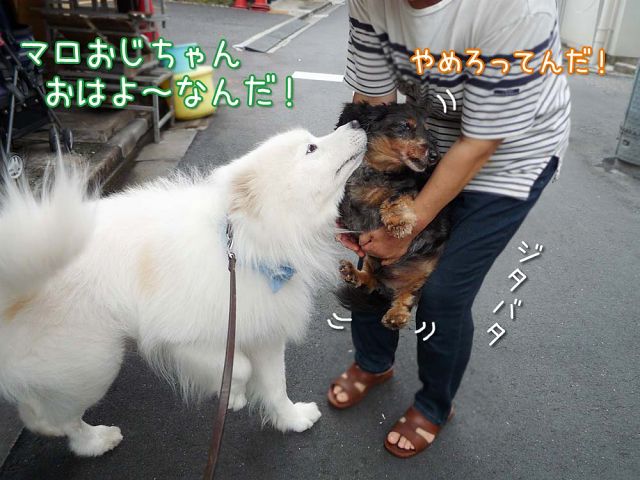 お寝坊散歩_c0062832_16504653.jpg