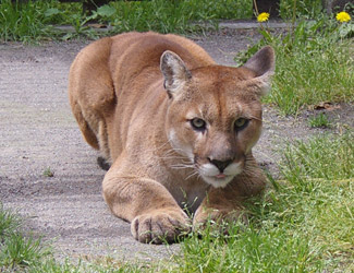a0147539_2251236.jpg