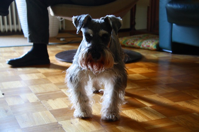 c0153740_44129.jpg