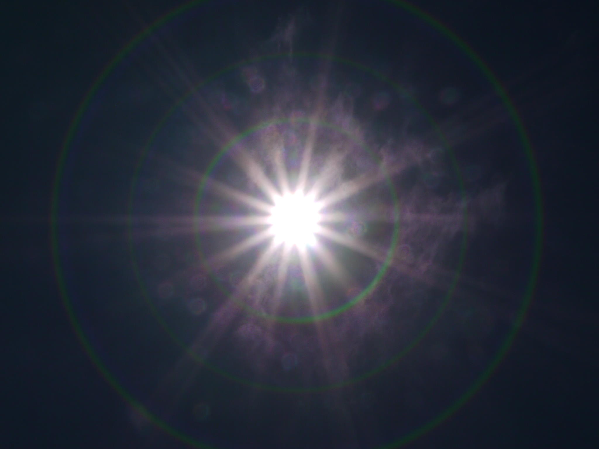 b0190242_95968.jpg