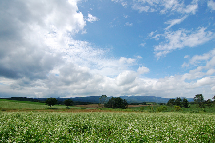 a0147150_1927296.jpg