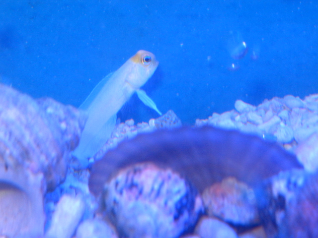 f0198950_2315501.jpg