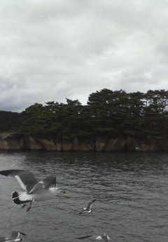f0204257_8111543.jpg