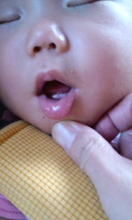 f0082659_16261851.jpg
