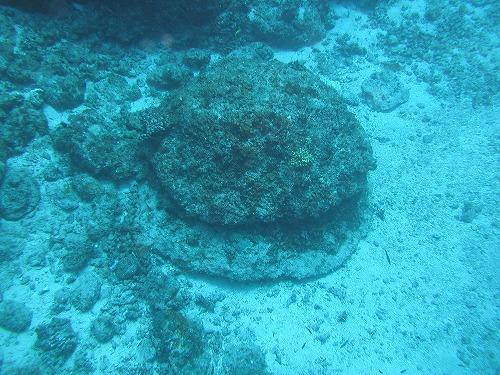 c0180460_63058.jpg