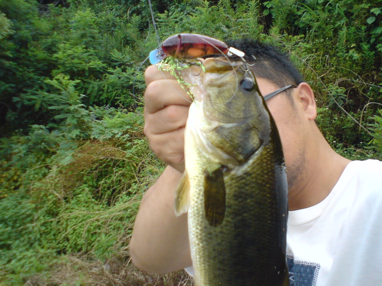 プロップZ_a0040876_2314998.jpg