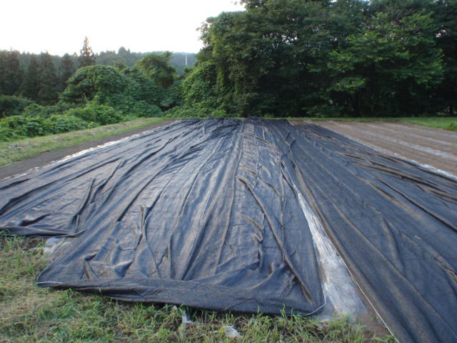 b0067179_2265581.jpg