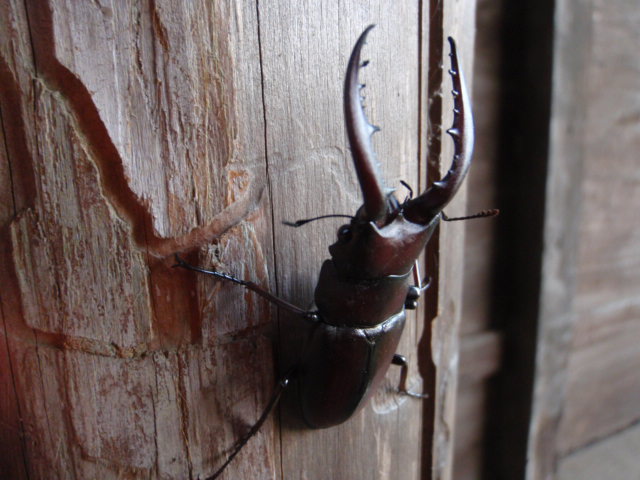 b0067179_2271090.jpg