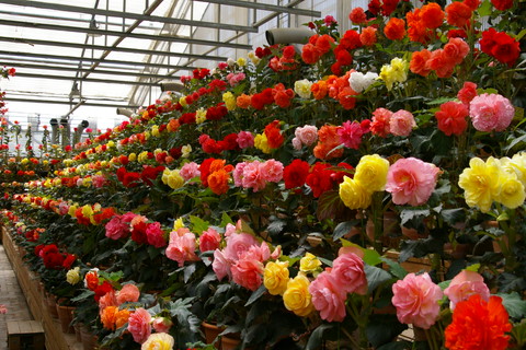 c0095900_858273.jpg