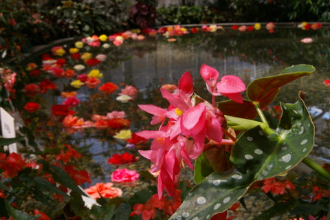c0095900_8584274.jpg