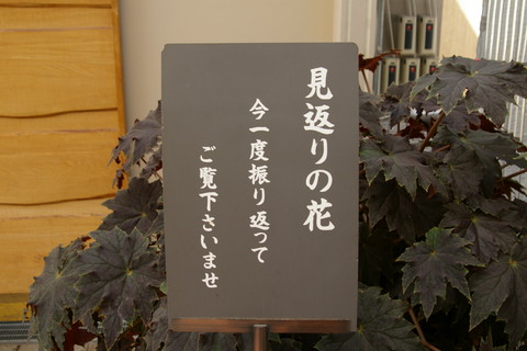 c0095900_8584942.jpg