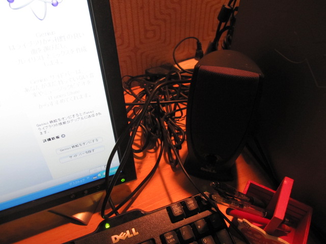 茗荷_e0181901_2322342.jpg