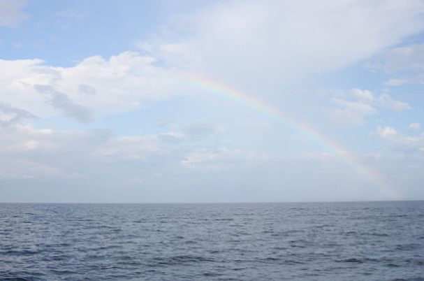 c0155902_8461264.jpg