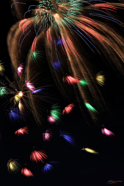 HANABI *2010* 01_f0185802_21461550.jpg