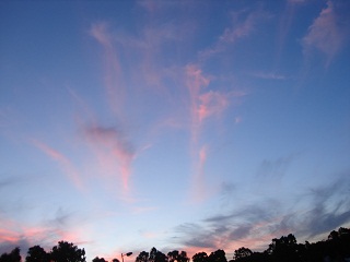e0141203_16433853.jpg