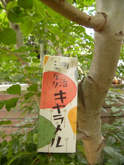 竹久夢二と笠井彦乃_f0144003_1220435.jpg